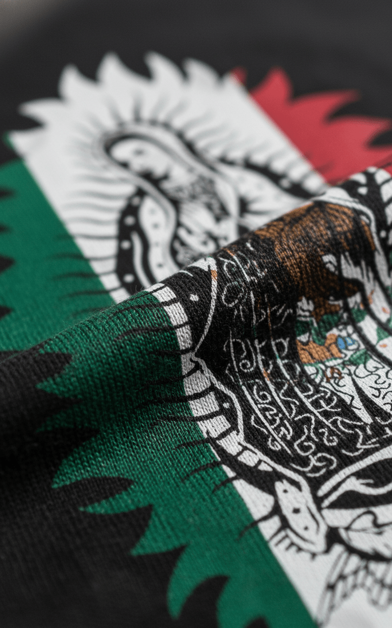 Virgen de Guadalupe Mexican Flag Graphic Tee - Stonk Shark Co.